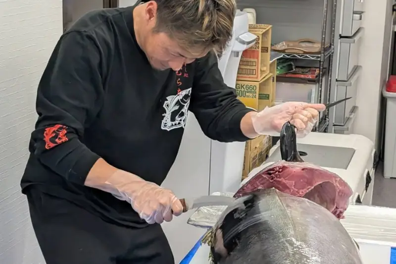 マグロ解体ショー
